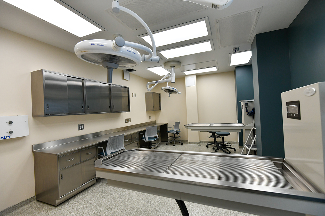 Pet Health Center Expansion, The University of Georgia
